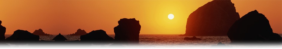 Shifting Paradigms & Bridging Dreams to Reality